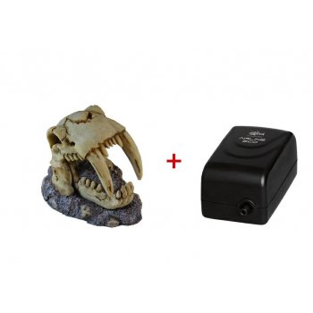 HAQUOSS FUNNY AIRDECO - SKULL 2